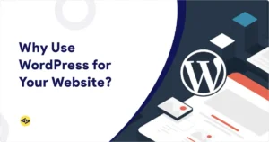 WordPress for Business Websites in Dubai &  Noida