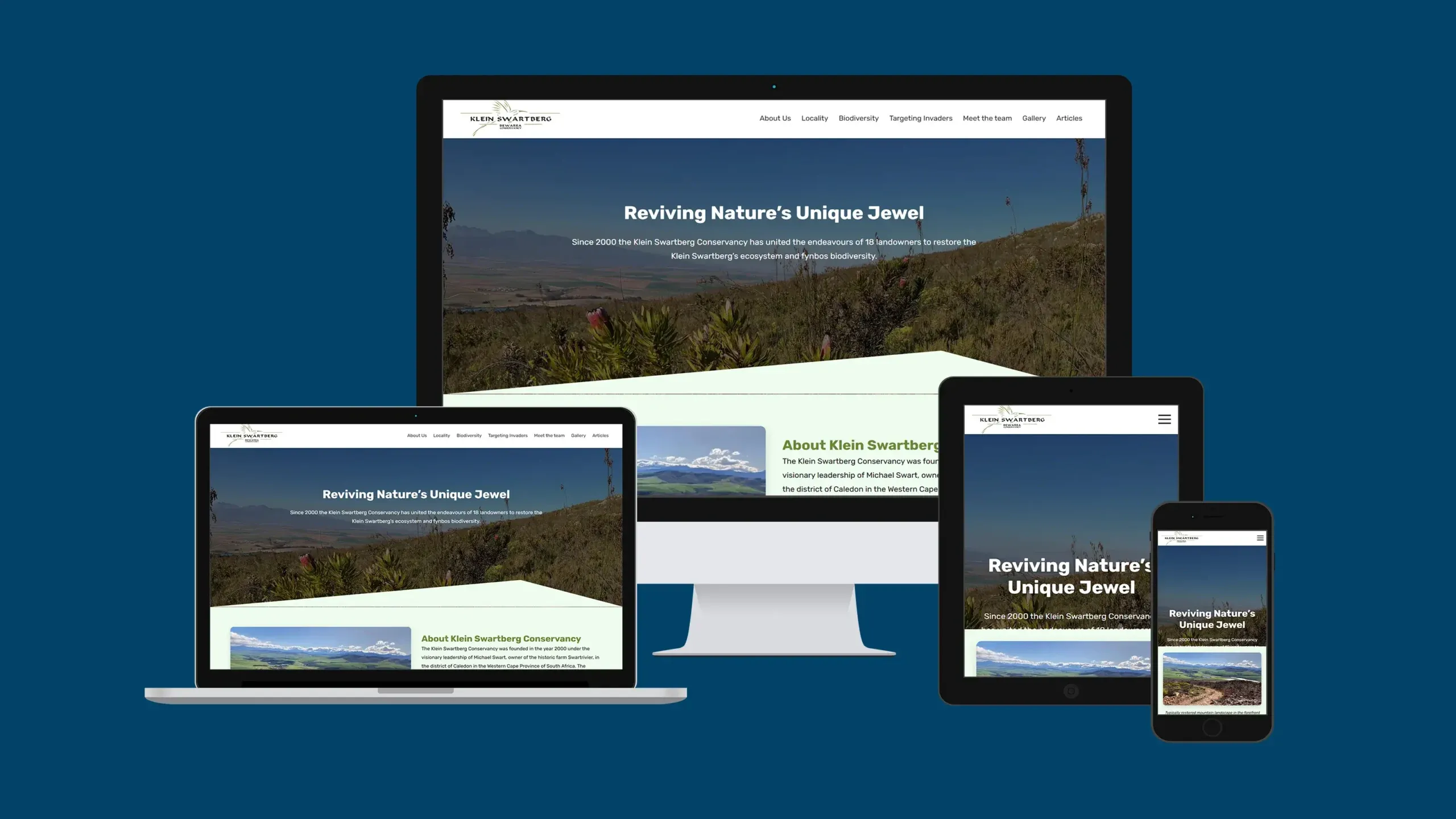 Speed & Performance Optimization